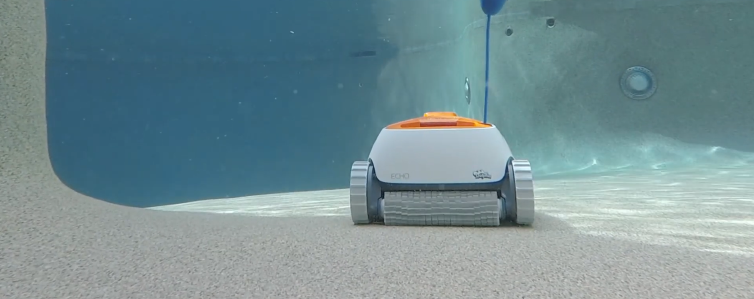 Dolphin Echo Cleaner in Action